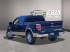 Thumbnail Photo 2 for 2013 Ford F150